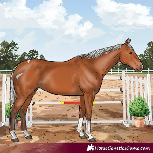 Horse Color:Silver Bay Tobiano 