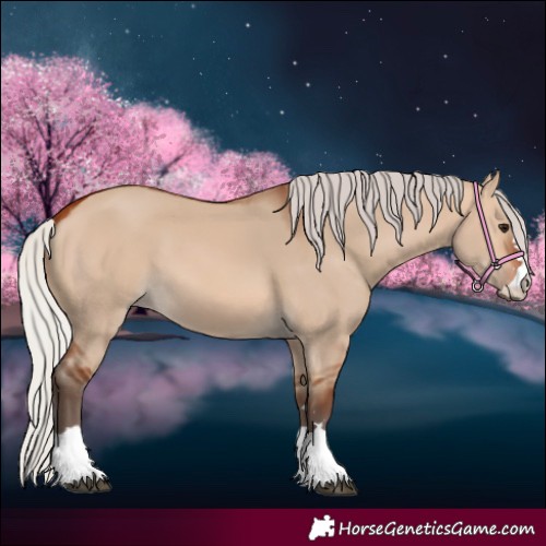 Horse Color:Silver Bay Dun