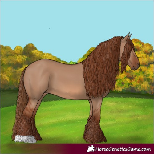 Horse Color:Red Dun