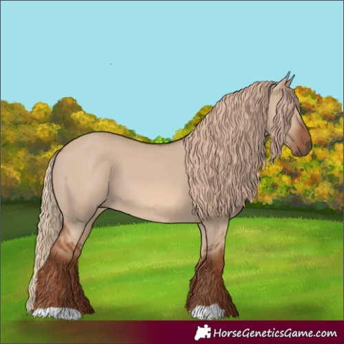 Horse Color:Red Dun 