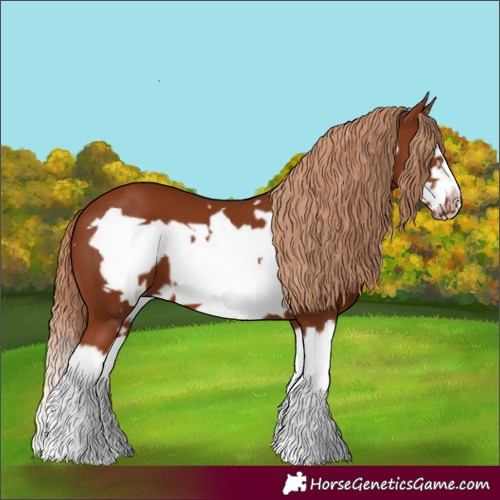 Horse Color:Chestnut Splash Frame 