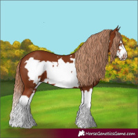 Horse Color:Chestnut Splash Frame