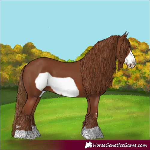 Horse Color:Chestnut Frame