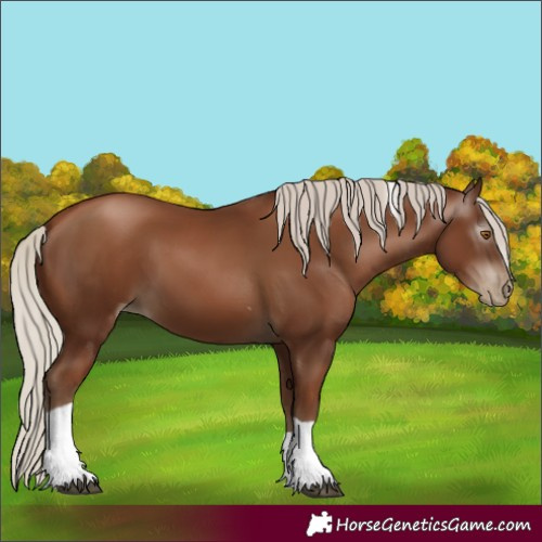 Horse Color:Gray Silver Black Pearl Tobiano