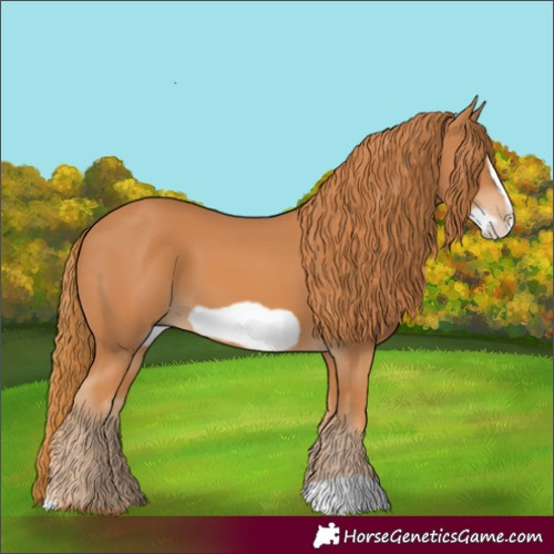 Horse Color:Chestnut Frame