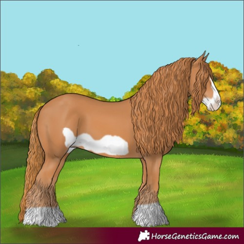 Horse Color:Chestnut Frame
