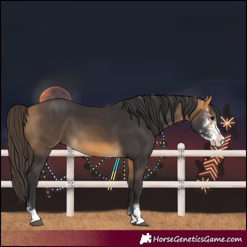 Horse Color:Buckskin Sabino 