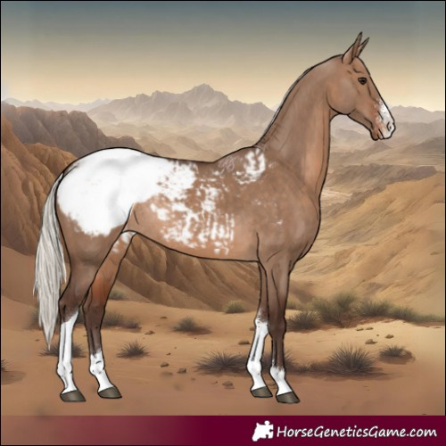 Horse Color:Silver Brown Dun Sabino Tobiano Snowcap Rabicano