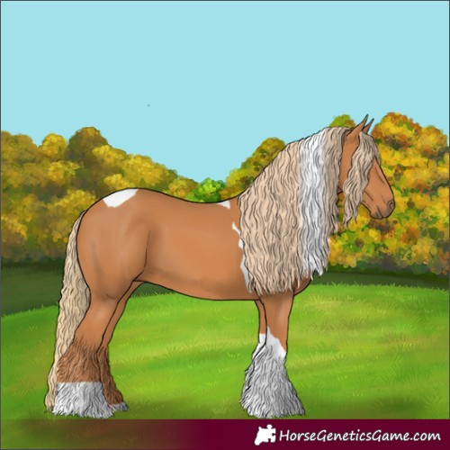 Horse Color:Chestnut Tobiano 