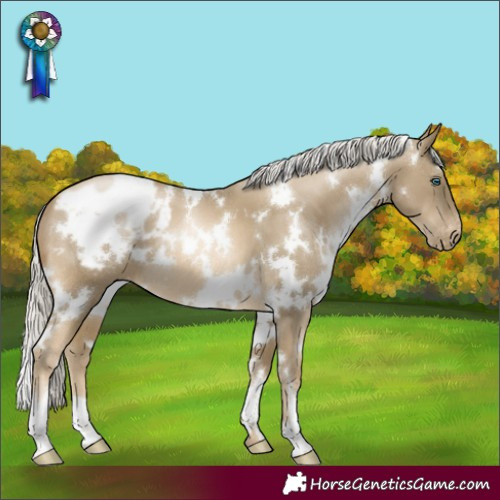 Horse Color:White Spotted Silver Smoky Black Pearl Blanket