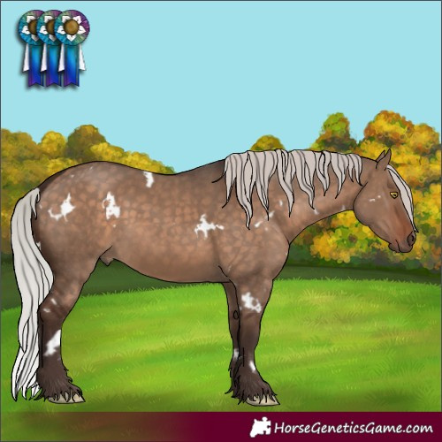 Horse Color:White Spotted Silver Brown Dun Rabicano