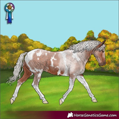 Horse Color:White Spotted Silver Bay Tobiano
