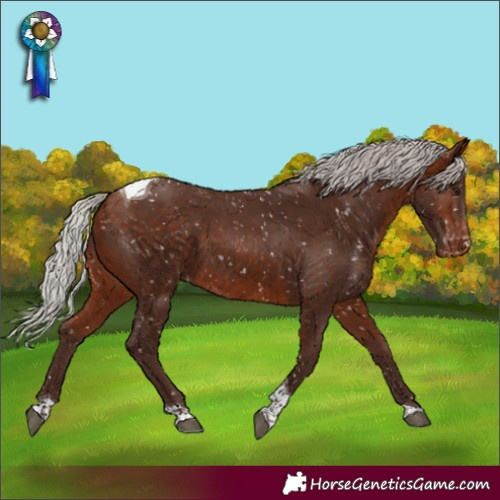 Horse Color:Silver Bay Tobiano Skewed LP Spotted 