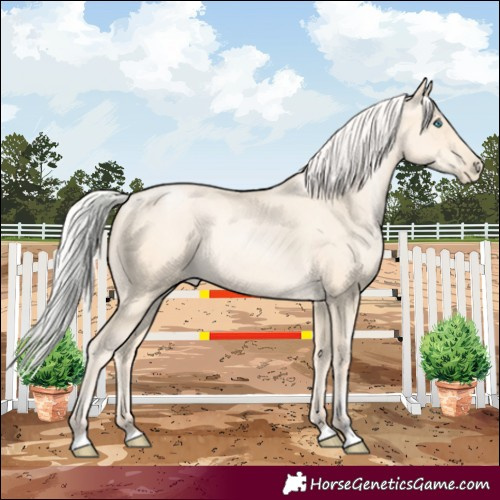 Horse Color:Silver Amber Cream Champagne Pearl