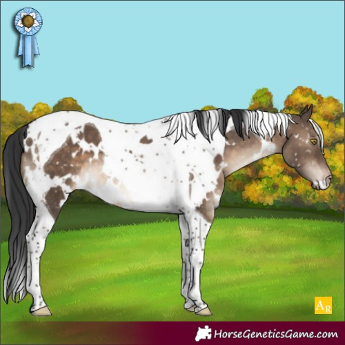 Horse Color:White Spotted Brown Dun Tobiano Snowflake Varnish 