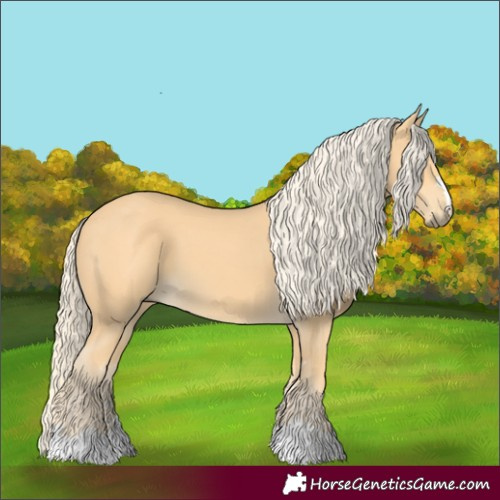 Horse Color:Palomino