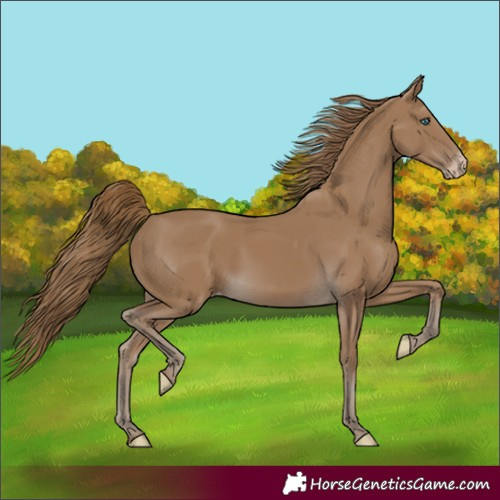 Horse Color:Gray Smoky Creme