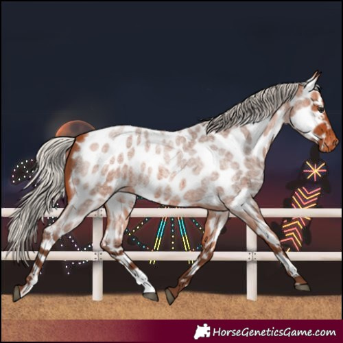 Horse Color:Silver Bay Roan Near Leopard