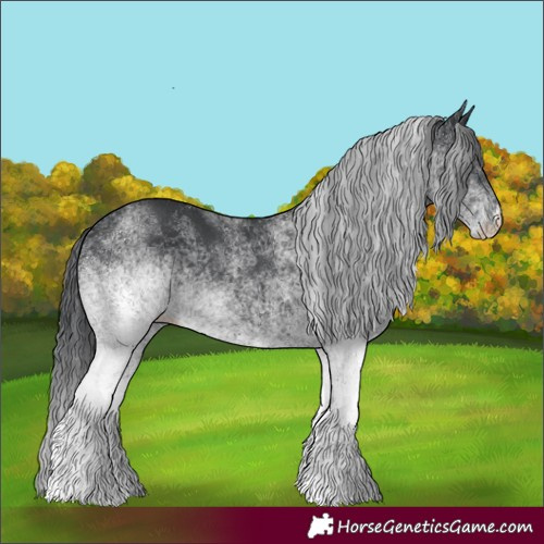 Horse Color:White Spotted Black
