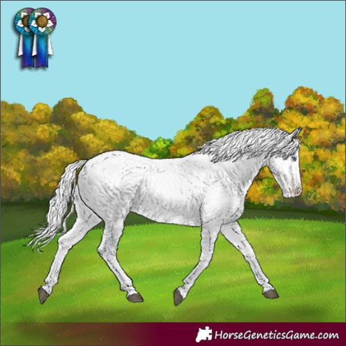 Horse Color:White Spotted Liver Red Dun Chinchilla Onyx Blanket