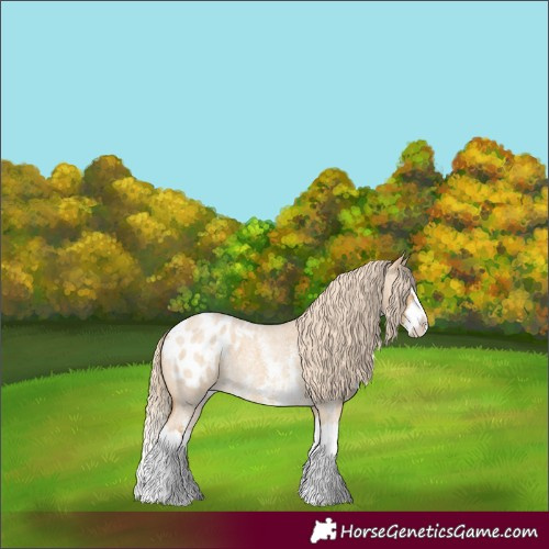 Horse Color:Palomino Roan Dun Sabino Splash Blanket 