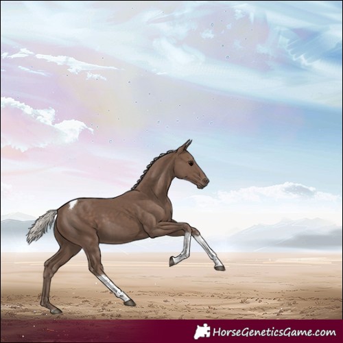 Horse Color:Silver Black Tobiano