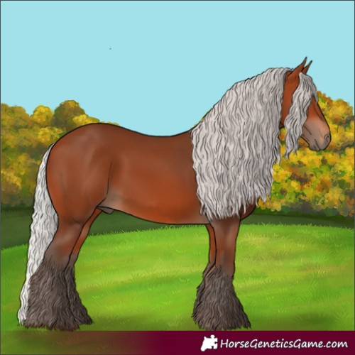Horse Color:Silver Bay