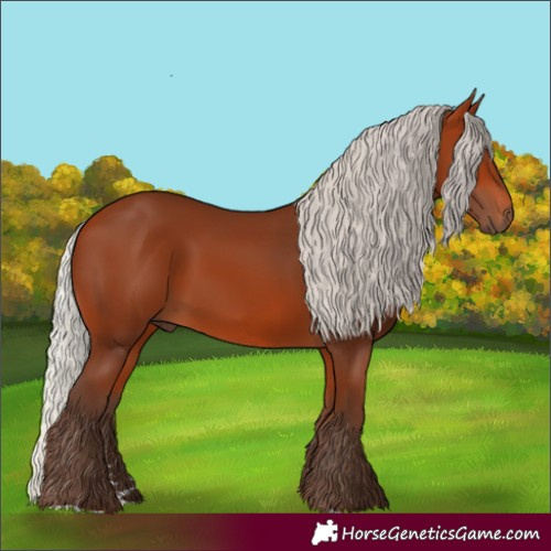 Horse Color:Unknown 
