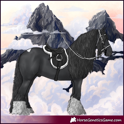 Horse Color:Black Tobiano