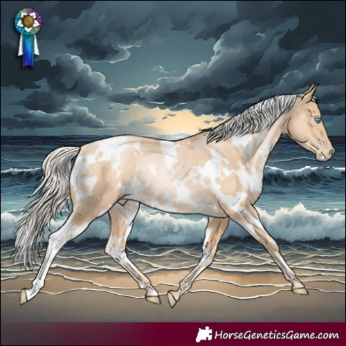 Horse Color:White Spotted Gold Cream Champagne Pearl Rabicano 