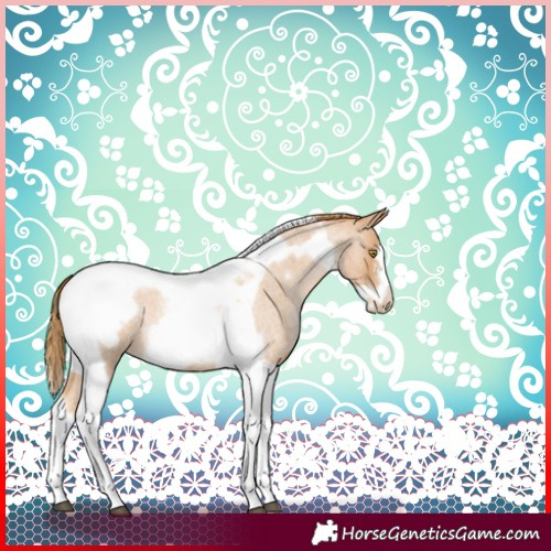 Horse Color:Red Roan Pearl Tobiano Frame 