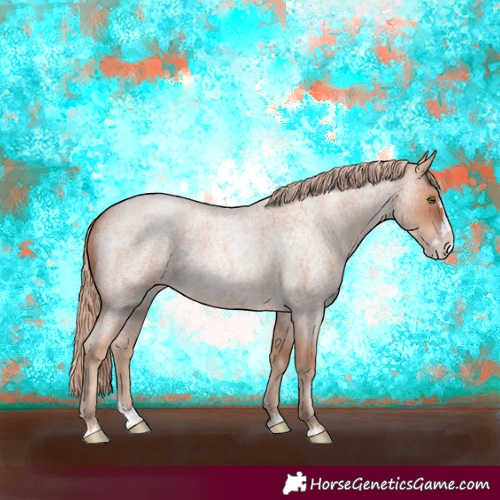 Horse Color:Gold Champagne Roan Splash