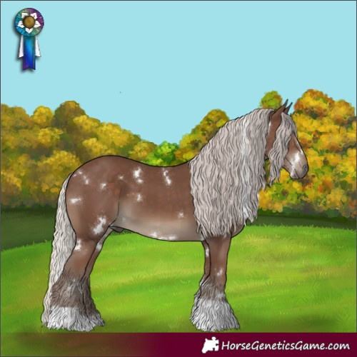 Horse Color:White Spotted Silver Black Tobiano