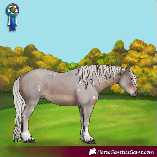Horse Color:White Spotted Silver Brown Tobiano 