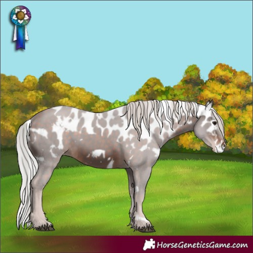 Horse Color:White Spotted Silver Brown Skewed LP Spotted