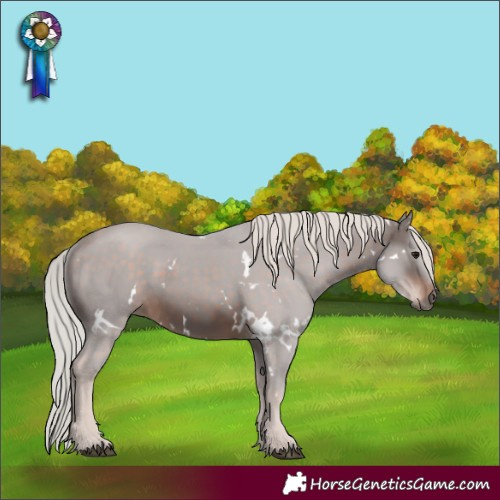 Horse Color:White Spotted Silver Brown