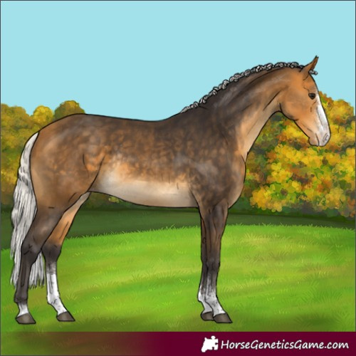 Horse Color:Silver Buckskin Sabino Varnish Rabicano