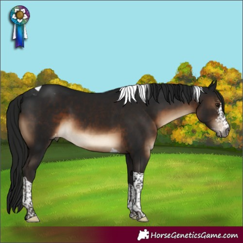 Horse Color:Gray Brown Mushroom Sabino Tobiano Varnish 