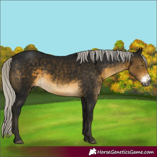 Horse Color:Gray Silver Buckskin Mushroom Sabino 