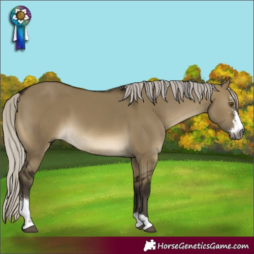 Horse Color:Gray Silver Buckskin Dun Mushroom Sabino 