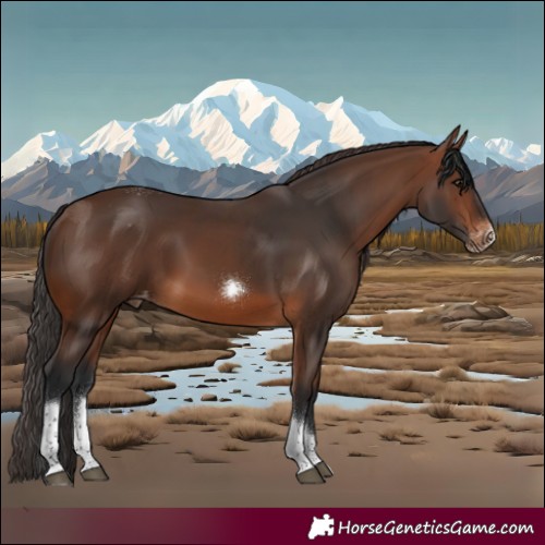 Horse Color:Brown Tobiano Frame Varnish Rabicano 