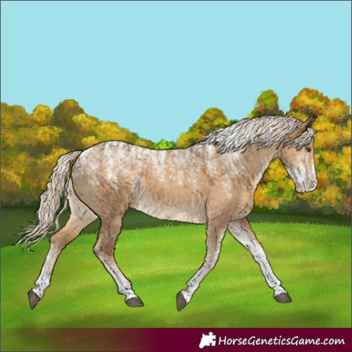 Horse Color:Powder White Chocolate Palomino Dun 