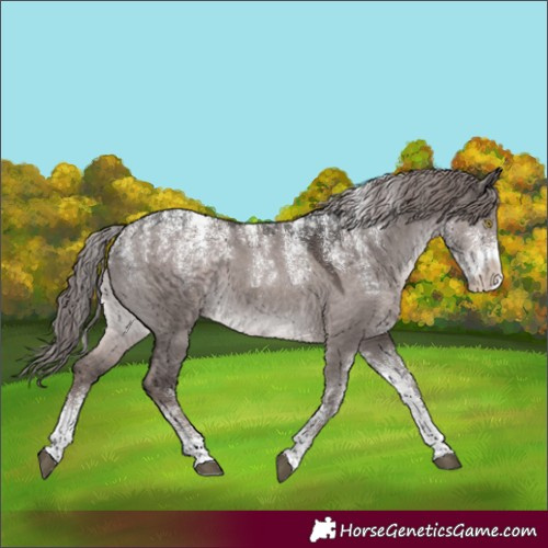Horse Color:Powder White Platinum Liver Red Dun 