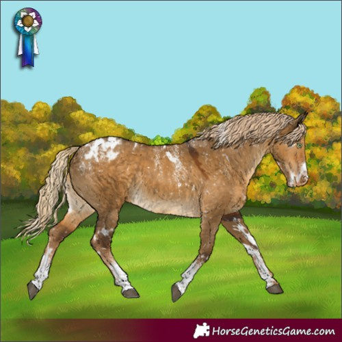 Horse Color:Powder White White Spotted Chocolate Palomino Dun Snowflake Varnish 