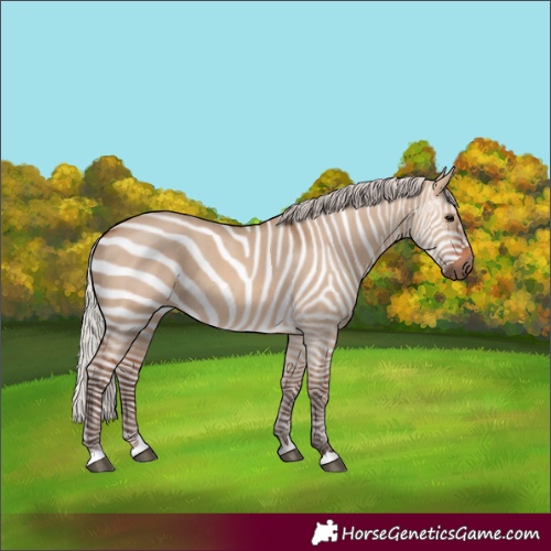 Horse Color:Silver Bay Dun 