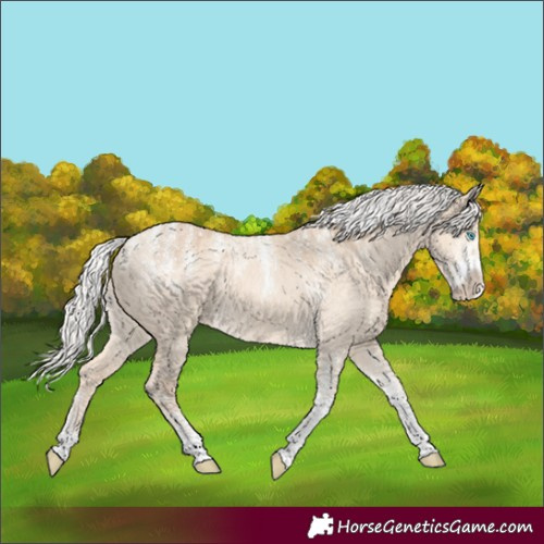 Horse Color:Powder White Silver Perlino Dun