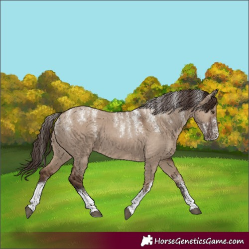 Horse Color:Powder White White Spotted Liver Red Dun 