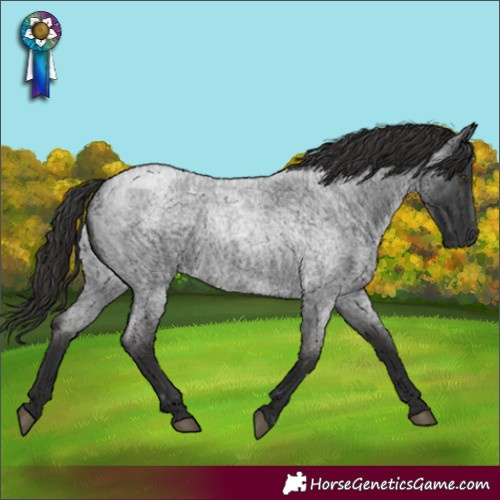 Horse Color:Liver Red Roan 