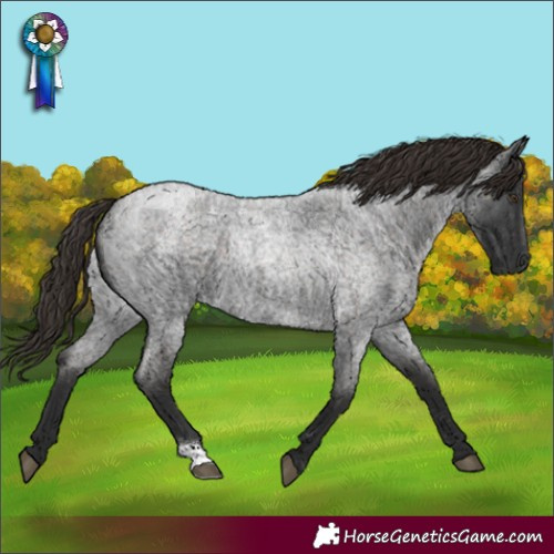 Horse Color:Liver Red Roan 