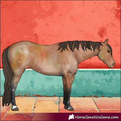 Horse Color:Bay Varnish 